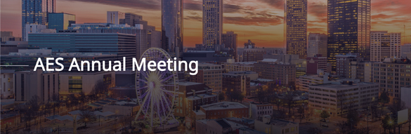 AES Annual Meeting